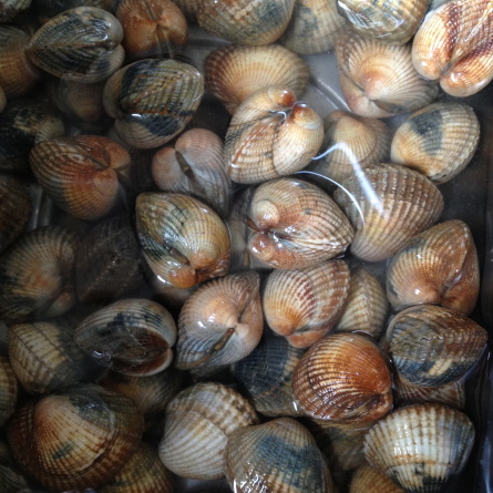 Faire tremper les coques dans un fond d'eau très salée